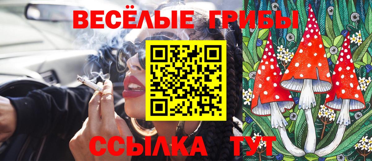 где купить наркоту  Псилоцибиновые грибы Psilocybine cubensis  Ревда  Вход с VPN  Галлюциногенные грибы GOLDEN TEACHER 